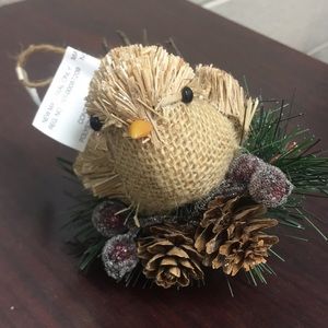 Beautiful bird ornament!